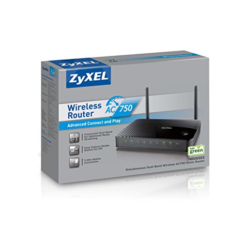 ZyXEL NBG6503-EU0101F wireless Router (300Mbps, 8 Watt) -